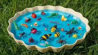 Bug ABC Phonics Song | Learn Letters & Sounds with Colorful Insects