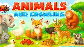 Learn Bugs, sea animals, Insects and Reptiles Fun Facts and Names in English for Toddlers