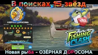 В поисках 15 Ти звёзд/ Река Потомак , новая рыба/ Fishing Clash: Реальная рыбалка