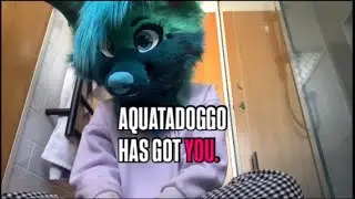 How to deal with Transphobes as a trans content creator 