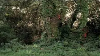 Rodenstock funny commercial 