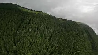 LoFlo v3 5inch, Kiss Ultra v2, Oregon 24'
