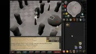 Mind Runecrafting - 81k+ xp/hr - 120 h Rift Guardian Pet
