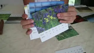 Sorting selfmade Calendar, with squeezing (no talking)
