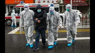 Coronavirus information release not &lsquo;timely&rsquo; Wuhan mayor admits
