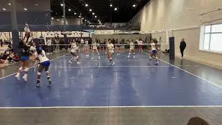 TAV South 16 Royal vs Instinct 16 WIld Gold, 2026-01-31, Day 1, Match 2, 1st Set