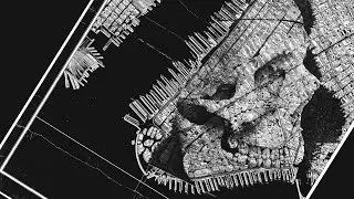Secret Societies  (An American Mafia Origins Story)