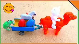 Amazing science project of making wooden camel Cart|loading by horse&egg|@dodhitv1