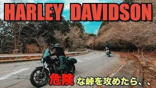 【ハーレーツーリング】ハーレーで峠チャレンジ⁉︎ FXDX　Harley Davidson