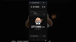 PAWS NEW PRE -MARKET TEASERS TASK | HOW TO COMPLETE PAWS NEW TASKS