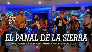 Los Cabelleros de Durango feat Los Varones de Culiacan El panal de la sierra