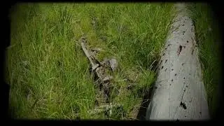 Slide Lake Fishing Trip, Paisley Oregon