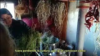 Entrevista a Jesica Viluñir | Proyecto final de Taller Rural