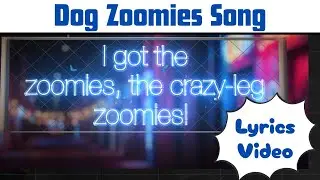 Zoomies Dog Song - 