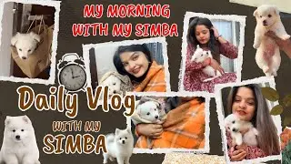 Day with Simba ❤️kya kiya aaj isne ? 
