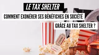 🇧🇪 Le Tax Shelter pour exon&eacute;rer vos revenus en soci&eacute;t&eacute; 🏡 - Tax Free #25