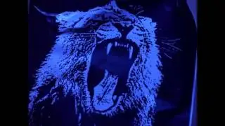 Titanium vs. Rattle vs. Cannonball vs. Animals (Keviiney Bootleg)