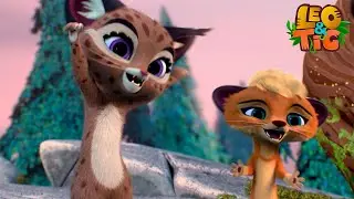 Chi è il più potente della foresta? 🌊☀️ Leo e Tig Italia 🐯🦁 Cartone animato per bambini