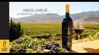 Somos Vinos Emevé - Valle de Guadalupe.