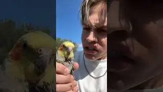 ik ben niet ready voor een vogelkind.