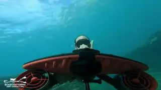 Sublue White Shark Navbow и Navbow Plus