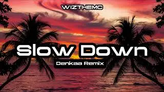 WizTheMc - I Don't Wanna Slow Down | Denkaa Remix