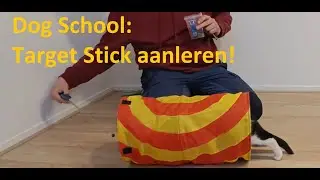Dog School: Target Stick aanleren