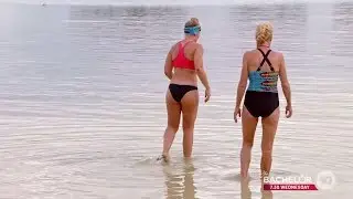 Abbey Holmes Survivor 2 2019