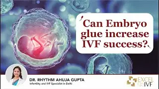 Can Embryo glue increase IVF success? Dr Rhythm Gupta - IVF Specialist in Delhi, Excel IVF