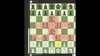 I am learning to play chess - Here's how I'm doing