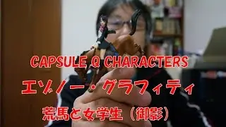 CAPSULE Q 「エゾノー・グラフィティ」