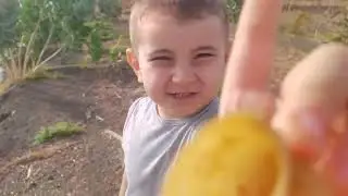 O passarinho que está com a asa quebrada 