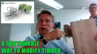 Understanding Sustainable Timber Modification with Avant Wood Technology