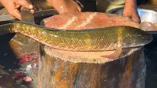 Snakehead Sola Fish Cutting | Like a Snake | Big Murrel Fish Live Chopping Skills in Bangladesh