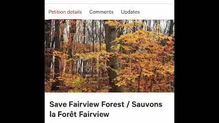Fairview Forest