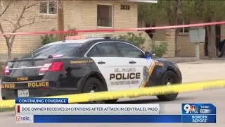 Dog owner gets 24 citations after attack in Central EP