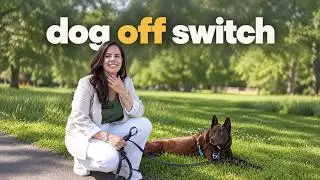 &ldquo;My dog has no off switch. He never settles. I&rsquo;m exhausted.&rdquo;