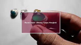 BACAN SUPER👉Giwang tanpa mangkok🙏🏻