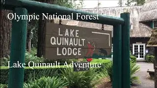 Olympic National Forest Lake Quinault Adventure