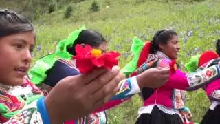 CONJUNTO SENDAS DE PAZ(Cada Paso)