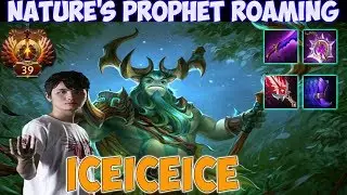Iceiceice - Nature's Prophet Roaming  | Top Rank Pro Gameplay - Dota 2