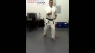 Isshin Ryu 15 Basics
