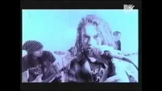 Apes Pigs & Spacemen  - Do I Need This