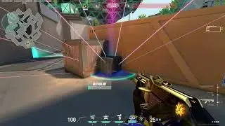 Killjoy Ultimate Bug