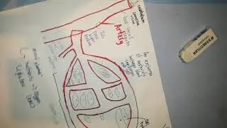 Biology formation of interstitial fluid Part 1