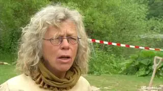 'Bijenvolk niet welkom in het preHistorisch Dorp'