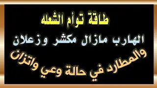 توأم الشعله : الهارب مازال مكشر وزعلان ومشتاق لتوامة : والمطارد في حالة وعي واتزان #طاقه_الهارب
