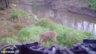 Tactacam solo hunter 2