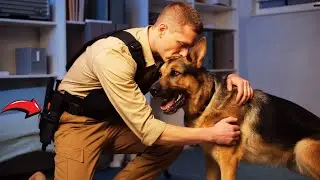 PTSD Veteran Attempts Suicide&mdash;His Service Dog Intervenes and Saves His Life