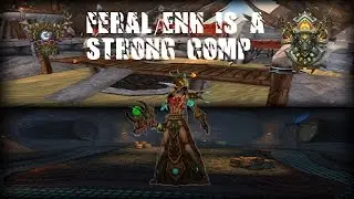 Zypra | Feral/Enh is strong!